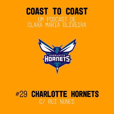 #29 - Charlotte Hornets | Rui Nunes