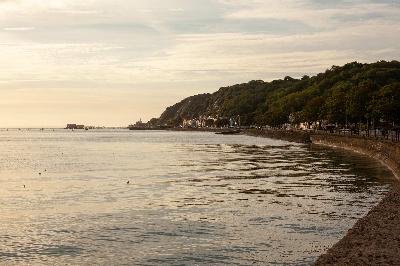 Patrick McGorry's Swansea