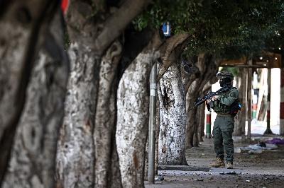 The News Roundup – International