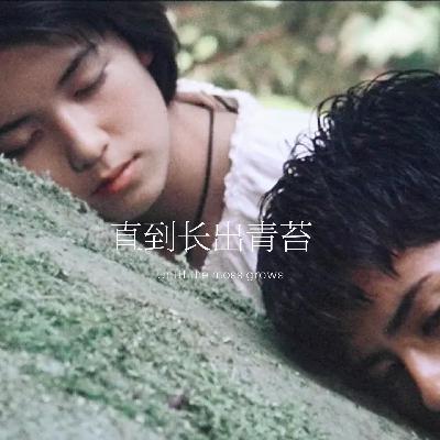 18.直到长出青苔