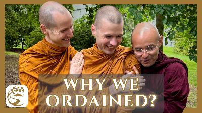 Saṃsāra’s Like This: Upheaval in Mexico, Mischievous Blessings, & Garlands of Skulls | Bhante Rāhula