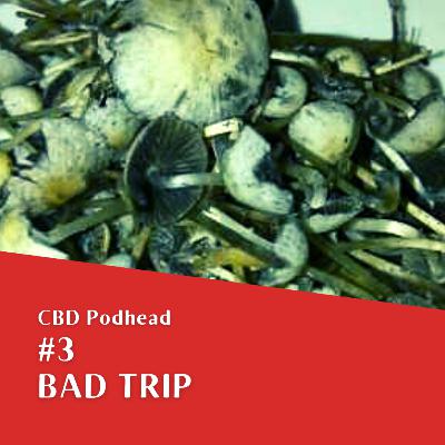 #3 Bad Trip