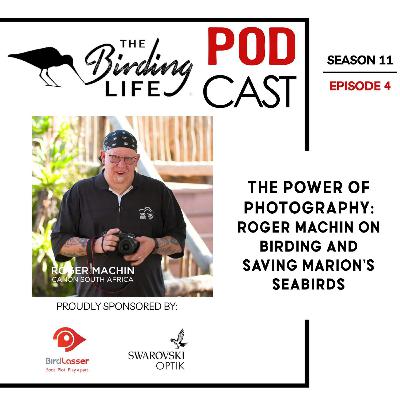 TBL Podcast Season 11 Episode 4 -  The Power of Photography: Roger Machin on Birding and Saving Marion’s Seabirds
