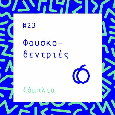 # 23 Φουσκοδεντριές