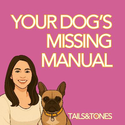 3: How to Create the Ultimate Dog Manual for Sitters, Travel, and Peace of Mind