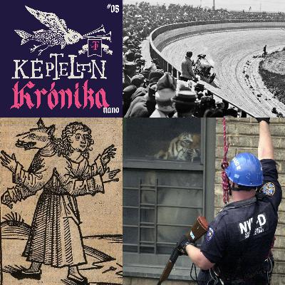 KK Nano #05 – A harlemi tigris, deszkapályák veszélyes autóversenyei és a leghíresebb vérfarkasper