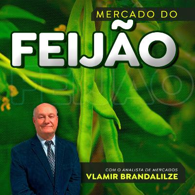Preços do feijão iniciam escalada; grão comercial tem alta de R$10 por saca
