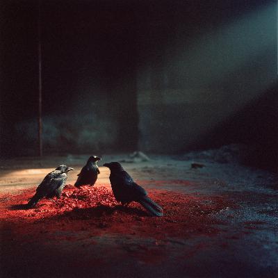 LAZARUS COCOON - PART 3