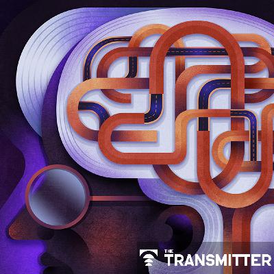 Aging as adaptation: Learning the brain's recipe for resilience Aging as adaptation: Learning the brain's recipe for resilience