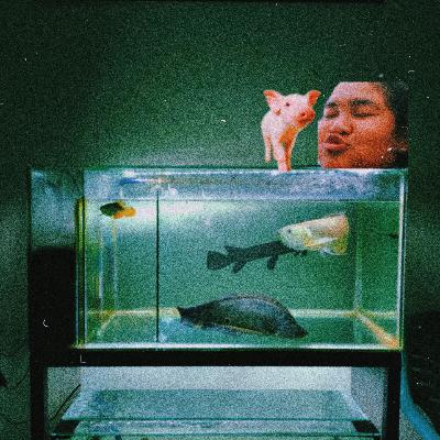 Episode 1 Sejarah aquarium pertama ft. Arwana silver 2