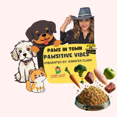 La comida Funcional importancia en la salud de los perros La comida Funcional importancia en la salud de los perros