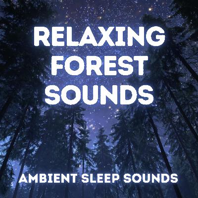 Ambient Forest Sounds for 8 Hours — Woodland and Nature Sounds