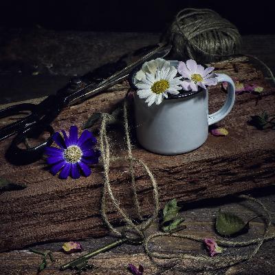 021 从应对到绽放：焦虑、创造与自我身份的重塑