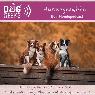 #60 DogGeeks-Hundegesabbel: Tanja Domke „Mehrhundehaltung“