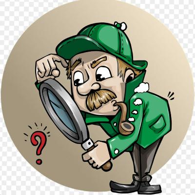 La Investigación. La Investigación.