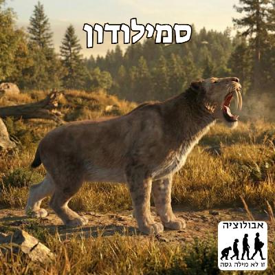 #66 סמילודון