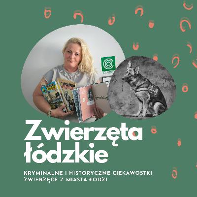 Kryminalna historia i pierwszy pies w śledztwie! | Anna Kulik, Sekrety Łodzi | Zwierzęta łódzkie Kryminalna historia i pierwszy pies w śledztwie! | Anna Kulik, Sekrety Łodzi | Zwierzęta łódzkie