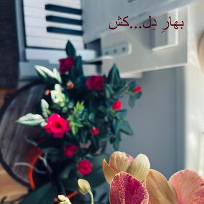 بهارِ دل…کَش