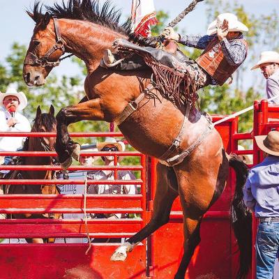 #174 Raymond Hostetler & Tyler Waltz | PRCA First Frontier Circuit Finals