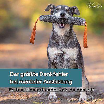 Warum dein Hund trotz Auslastung nicht zur Ruhe kommt – der größte Denkfehler bei mentaler Auslastung Warum dein Hund trotz Auslastung nicht zur Ruhe kommt – der größte Denkfehler bei mentaler Auslastung