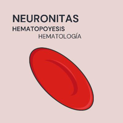 Hematopoyesis