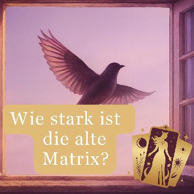Wie stark ist die alte Matrix? Kommt gar eine Neuauflage?