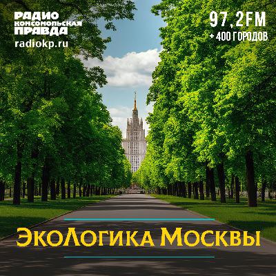 Экологическая премия Москвы: природоподобные решения, цифровизация и самые эффективные практики