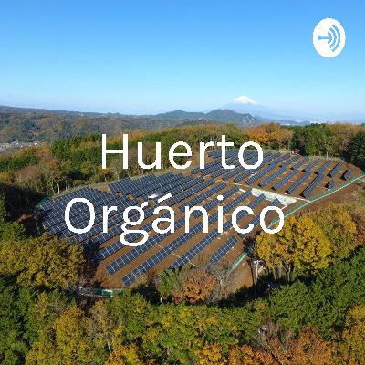 Taller de Huerto orgánico