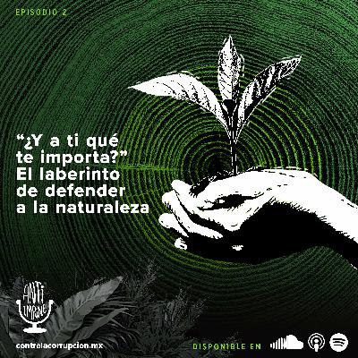 "¿Y a ti qué te importa?" El laberinto de defender a la naturaleza