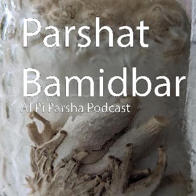 Episode 17: Parshat Bamidbar Episode 17: Parshat Bamidbar