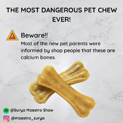 Most Dangerous Pet Chew Ever!! An Eye Opener Episode for all the New Pet Parents