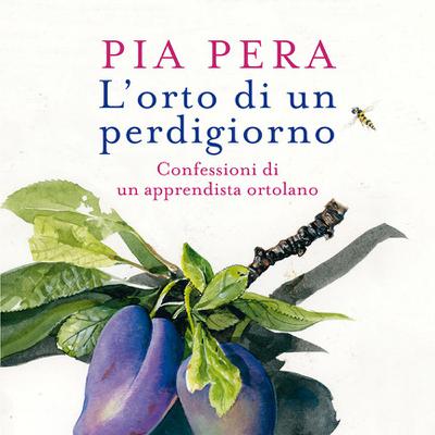 “L’orto di un perdigiorno”