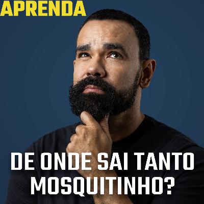 A praga dos mosquitinhos de banheiro #159