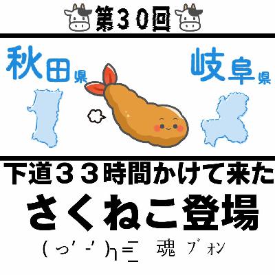 片道33時間！下道RTA