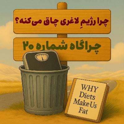 چراگاه ۲۰- چرا رژیمِ لاغری چاق می‌کنه؟