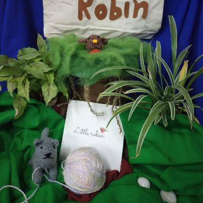 The story of little robin!