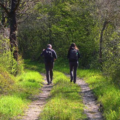 #29_Wat kan bewegen betekenen bij herstel rond verslaving?