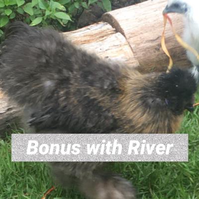 The most important tip. Ft: River