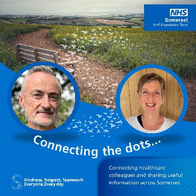 Exploring psychological professions at Somerset FT - Connecting the dots