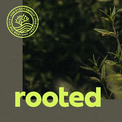 Rooted: Vision Sunday Rooted: Vision Sunday