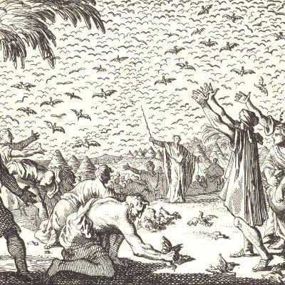 Bible Study: John 6:41-51 "Grumbling Just Like Your Fathers" Bible Study: John 6:41-51 "Grumbling Just Like Your Fathers"