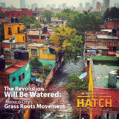 The Revolution Will Be Watered: Mexico City's Grass Roots Movement
