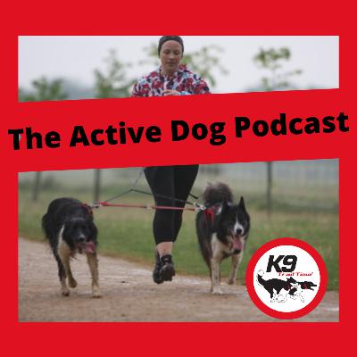 Episode 4: Canicross and Parkrun