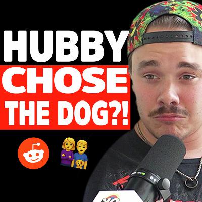 My husband chose the dog OVER me and it ruined our marriage!| Reddit Stories | EP2345