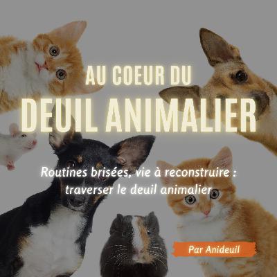 Épisode #20: Routines brisées, vie à reconstruire : traverser le deuil animalier
