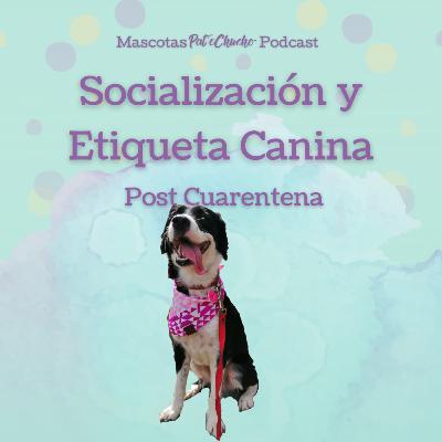 Socialización y Etiqueta Canina Post Cuarentena