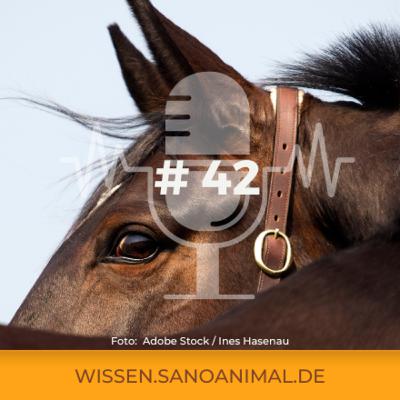Sanoanimal Podcast #42 - Entwurmen im Herbst