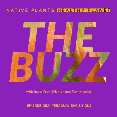 The Buzz - Personal Evolutions