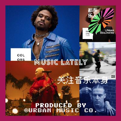 See The Sound, Not The Person小众音乐歌单