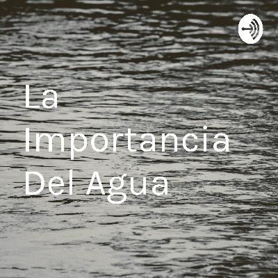 Importancia del agua